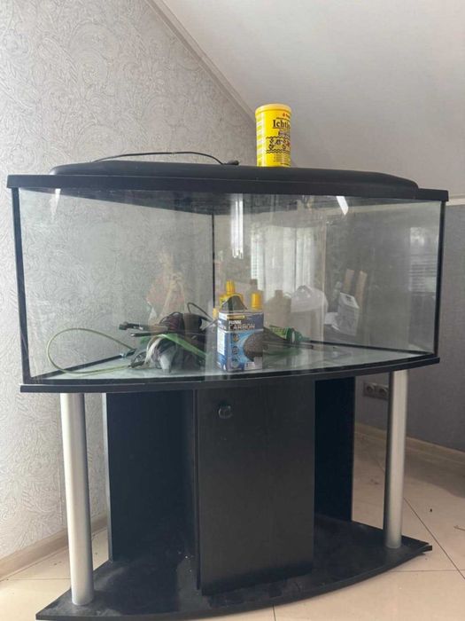 Akwarium 300l narożne panoramiczne + filtr zew. i akcesoria