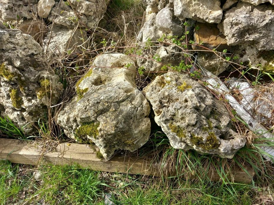 Kamień na skalniak – kamienie ozdobne ogrodowe naturalne