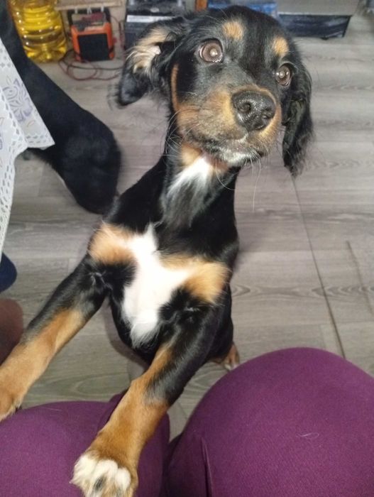 Дівчинка 3 місяці