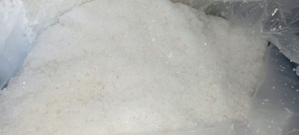 Sal Marinho Grosso Figueira da Foz