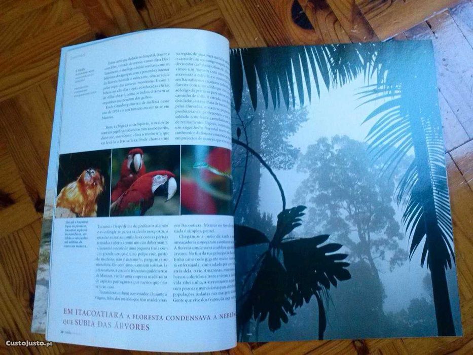 Revista Visão Especial-Brasil de Sonho