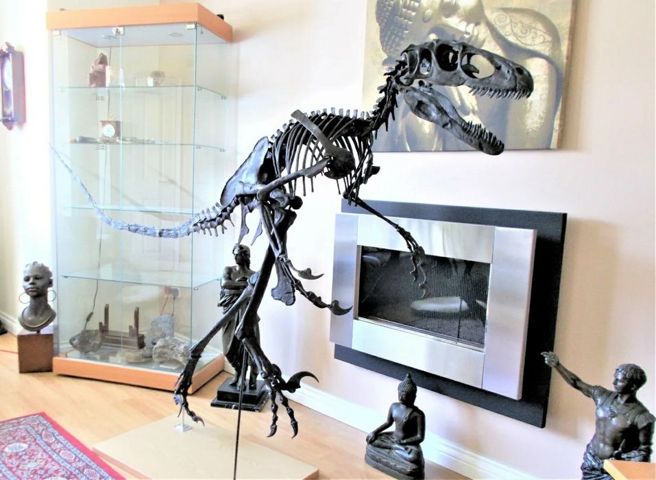 Fóssil de Raptor Deinonychus Velociraptor Utahraptor Esqueleto