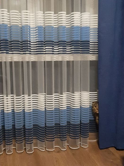 Тюль смужка мілка,крупна  різнокольорова