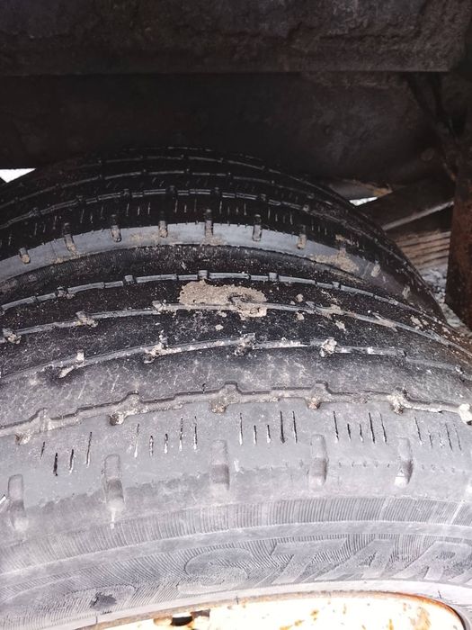 Газель  - Рута  25