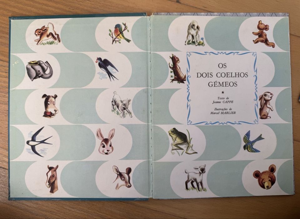 Os dois Coelhos Gémeos - (Nº 41) - Anita