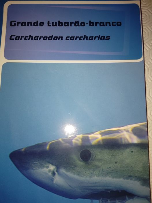 Livros Coleção de Todo o Mundo Novos