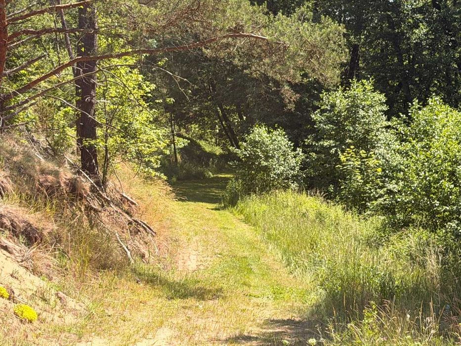 Działeczka nad rzeką Brdą