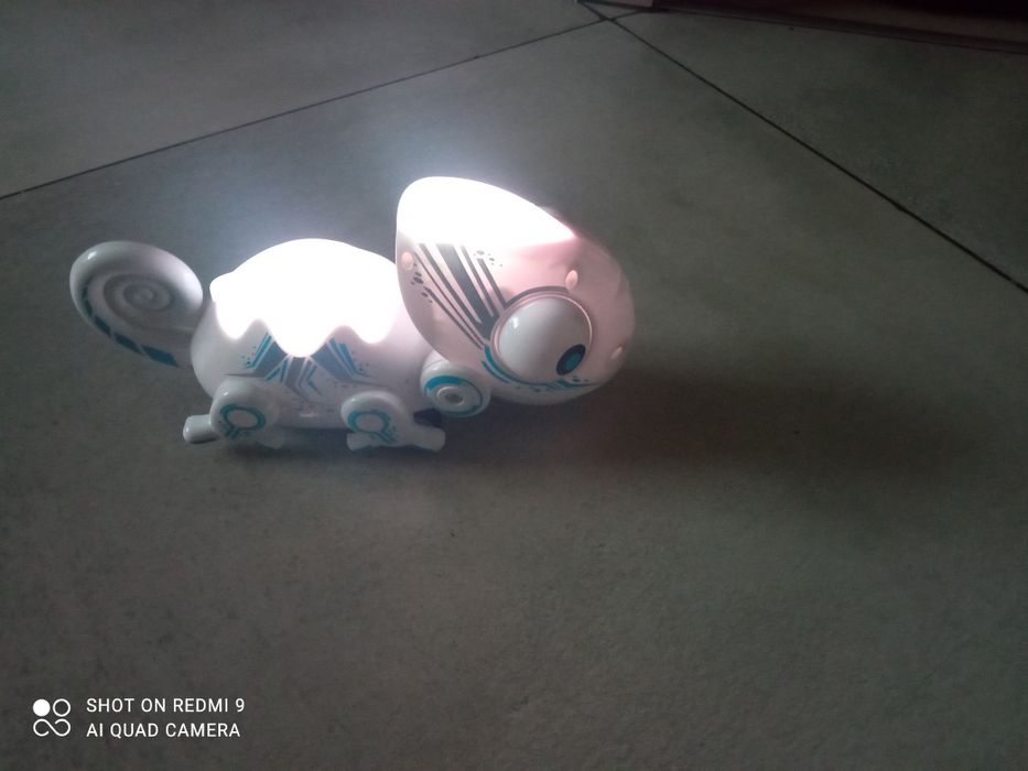 Kameleon interaktywny