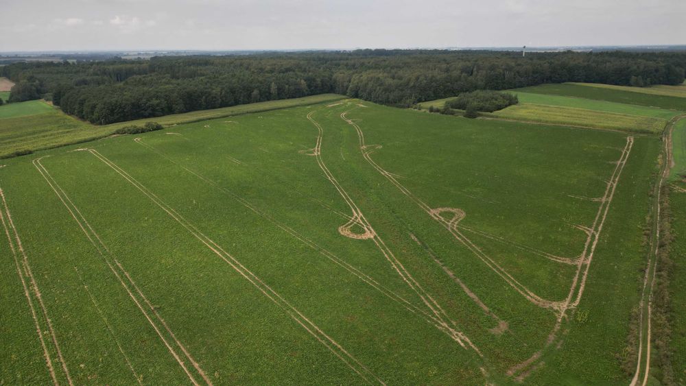 Zbrosławice rolna 3014 m² - Widok 3