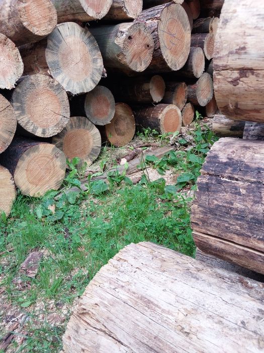 Drewno opałowe suche sosna