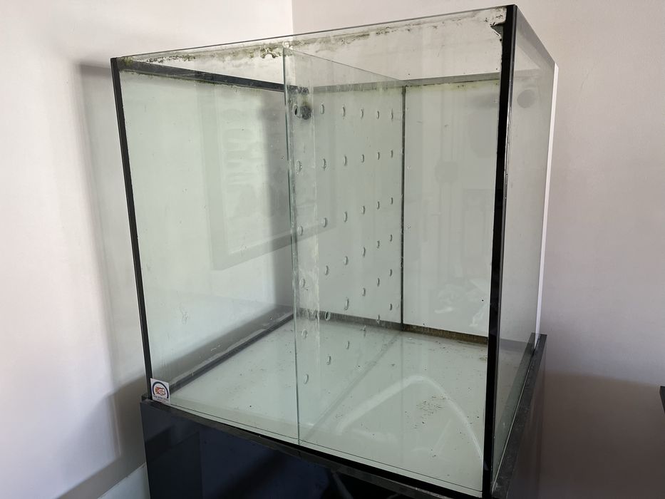 Aquario cubo 70x70x70 sump 100% silencioso  e  clean sem tubos à vista