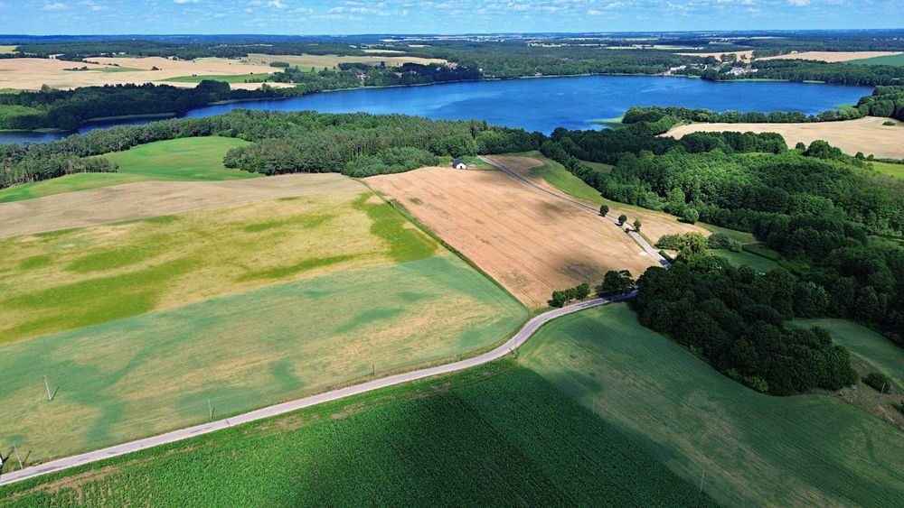 Zamieszkaj tam, gdzie inni przyjeżdżają na wakacje – działki budowlane w Rybnie, zaledwie kilka minut od jezior