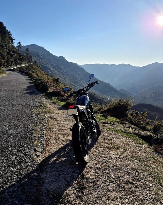 Honda Fx 650 scrambler / café racer