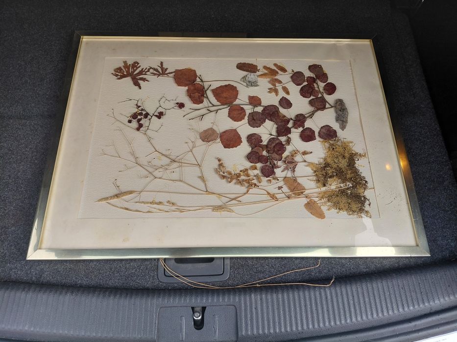 Quadro antigo para restauro no estado real que se encontra nas fotos 8