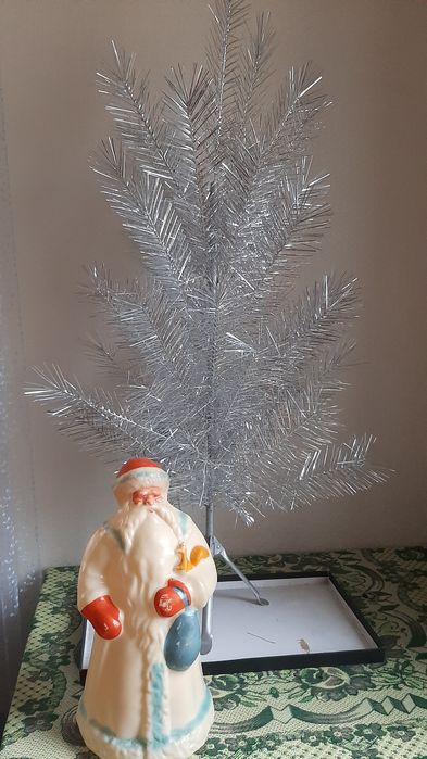 Елка серебристая