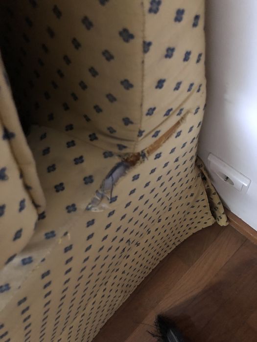 Sofa cama em amarelo e azul