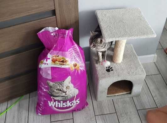 Sucha karma z wołowiną dla kotów 14kg DUŻE opakowanie