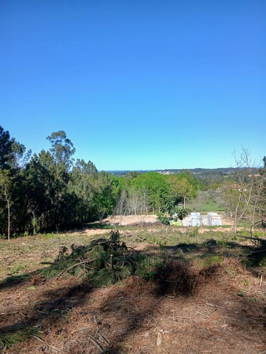 Terreno em tábua