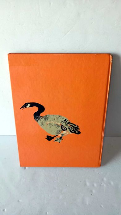 O Meu Primeiro Livro de Zoologia - Livro Antigo