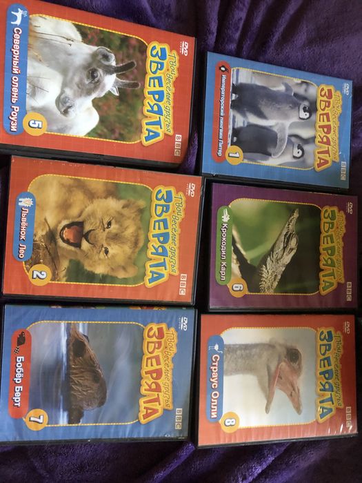 Двд диски для детей 24 шт. Звери животные