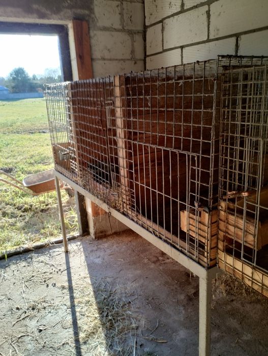 Klatki dla królików z wyposażeniem