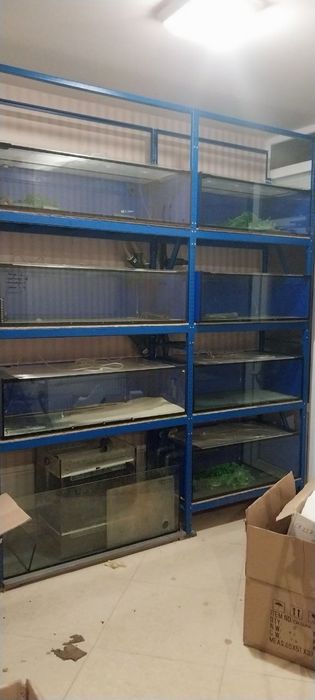 Продам аквариумы 9 шт 140*60*40