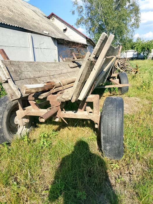 Фіра, віз для коня