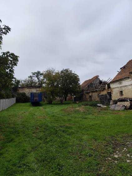 dom z  zabudowaniami gospodarczymi na działce 7411m2