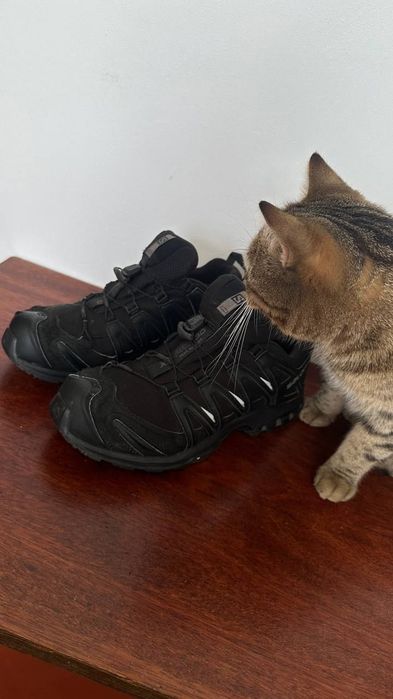Чоловічі чорні кросівки Salomon Xa Pro 3D GTX
