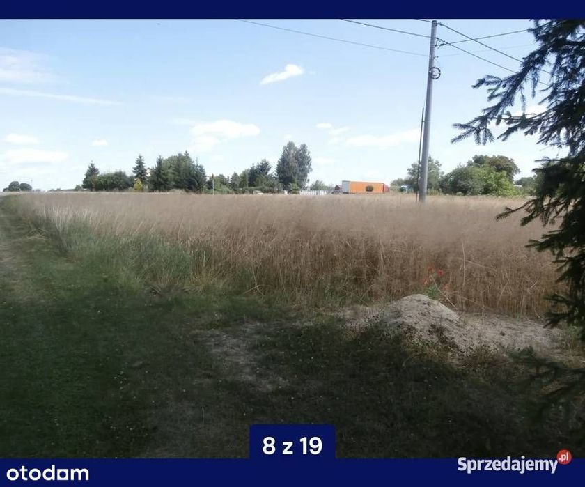 Dom wolnostojący + budynki gospodarcze