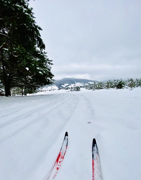 Jurta Całoroczna, BESKIDY, KOMINEK, noclegi w górach