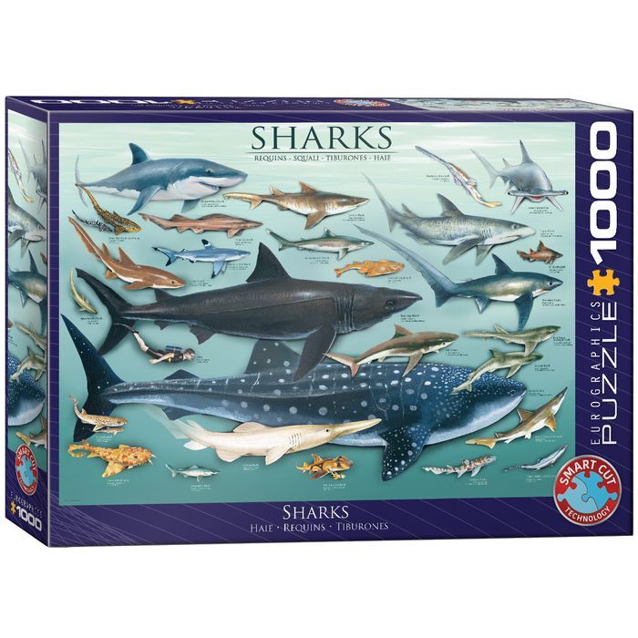 Puzzle 1000 Sharks 6000-0079 Eurographics