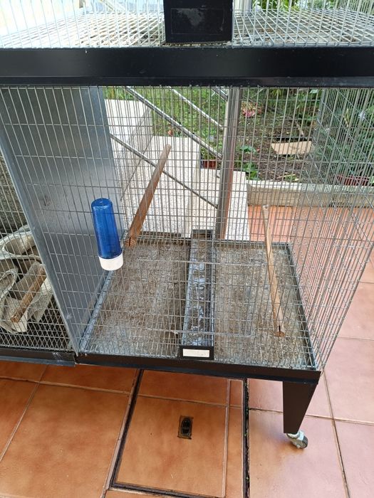 Gaiola pássaros como nova