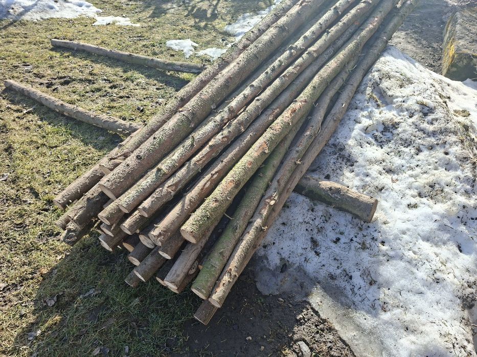 Stemple budowlane 3,10m