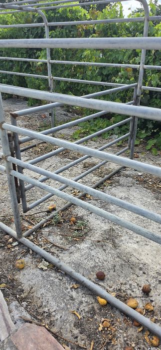 Grade de transporte de animais