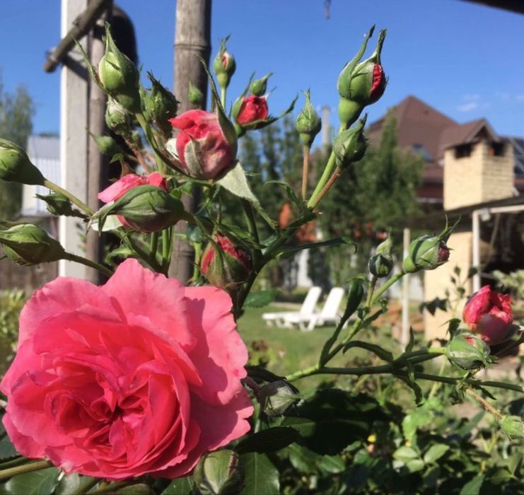 Оренда будинку баня на дровах камін   мангал озеро альтанка більярд