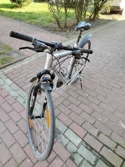 Scott Sportster P5 Rower szosowy.