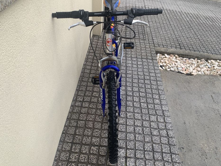 Bicicleta  team spirit