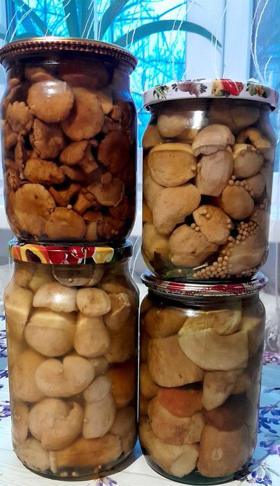 Продам гриби консервовані білі0,5л 200грн, 0,65л 250грн, 0,72л 300 грн