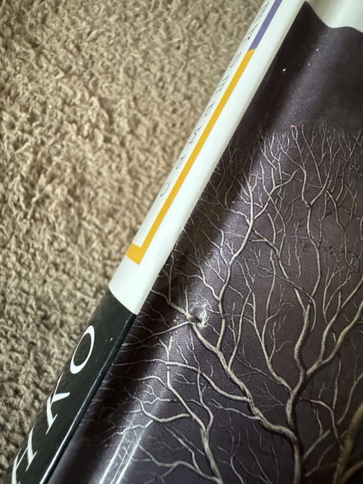 Ліна Костенко Записки україського самашедшого