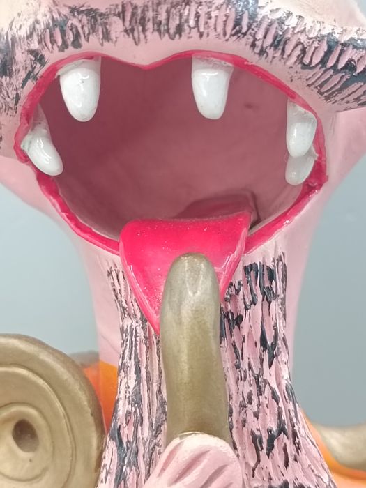 Músico apito Rosa Cota