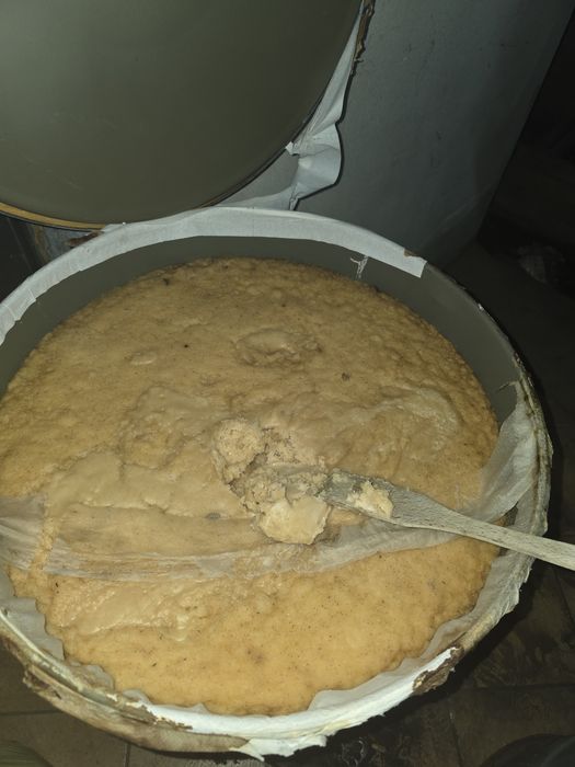 500+ kg MIODU pszczelego – 100% naturalny – krupiec – całość 6000 zł