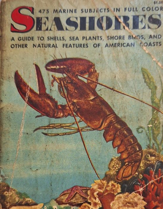 História Natural de 1955