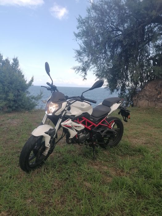 Mota Benelli BN 125  - 2021