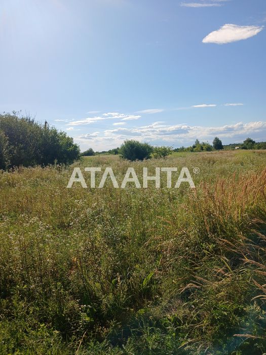 Чудова ділянка для вашого бізнесу