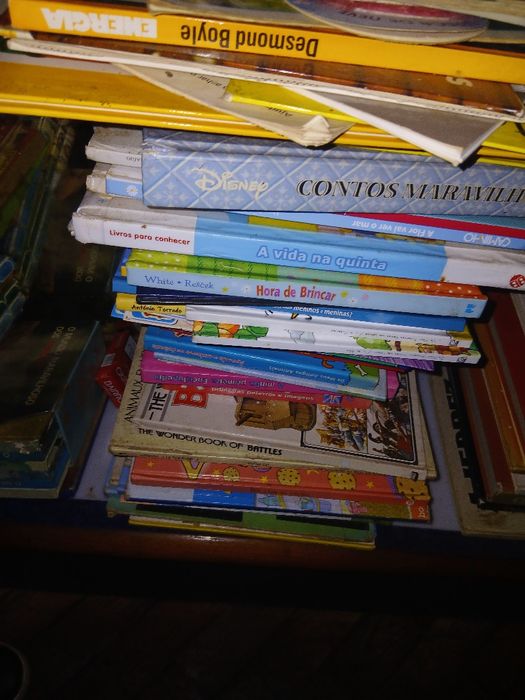 Conjunto + 100 livros crianca em português Ingles tudo 50 €