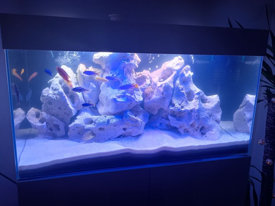 Akwarium aquael malawi