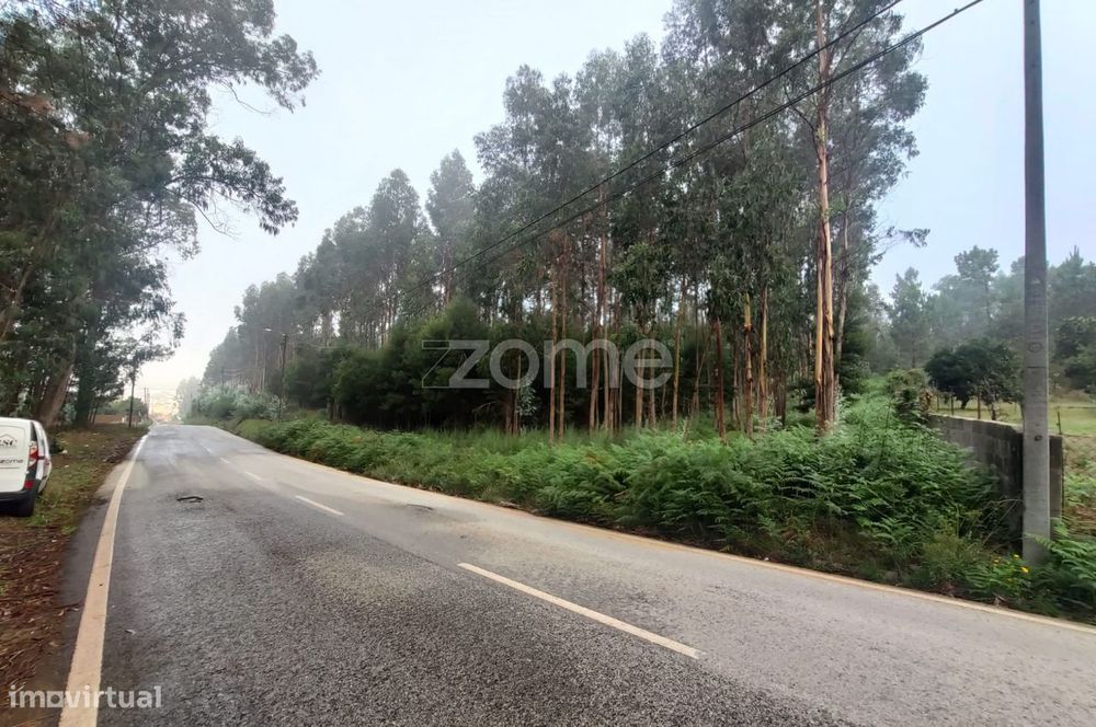 Plot of land measuring 5,440 m² in Nogueira da Regedoura, Santa Maria da Feira
