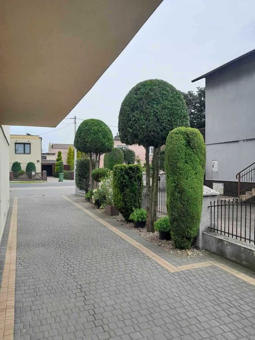 Usługi ogrodnicze i porządkowe