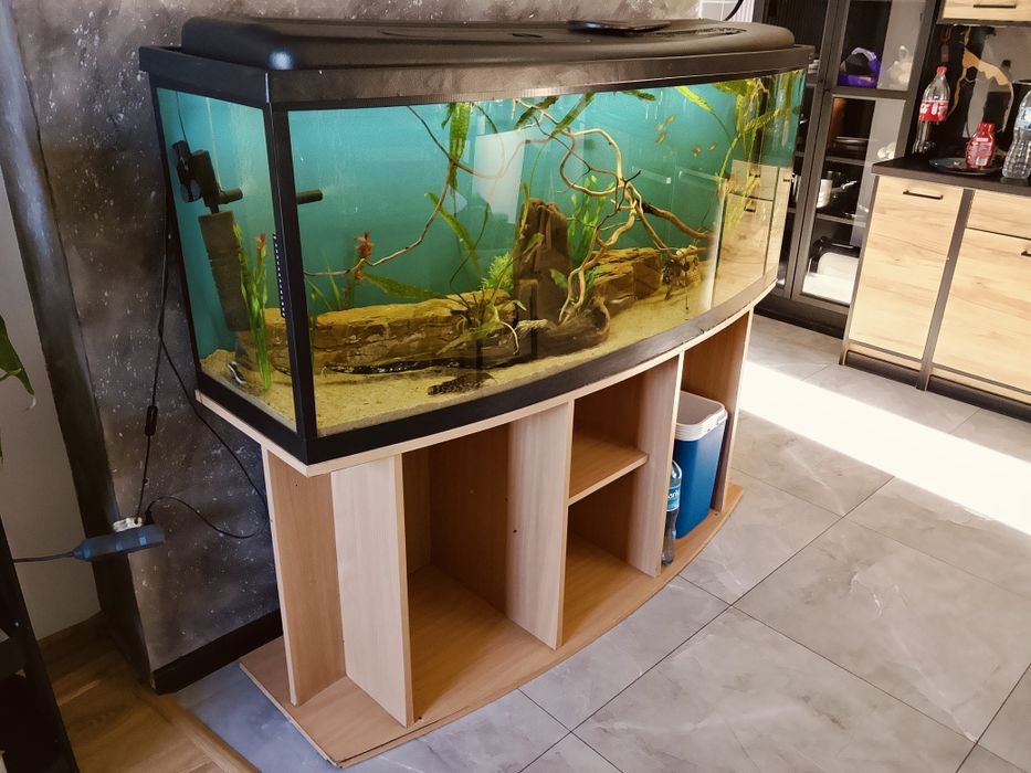 Akwarium 450L z rybami.